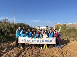 운정3동 주민공동체협의회 및 청소년지도위원회, 고구마 수확으로 이웃 나눔 실천 기사 이미지