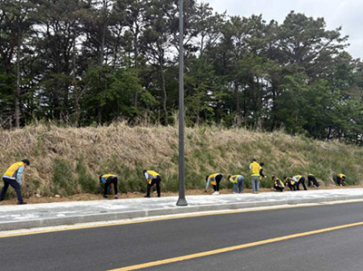 운정4동 실버경찰대, 생태교란종 확산 차단 나서 기사 이미지