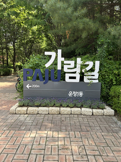 라벤더 향기 흐르는 파주시 운정1동, 시민과 소통하는 정원으로 물들다 기사 이미지