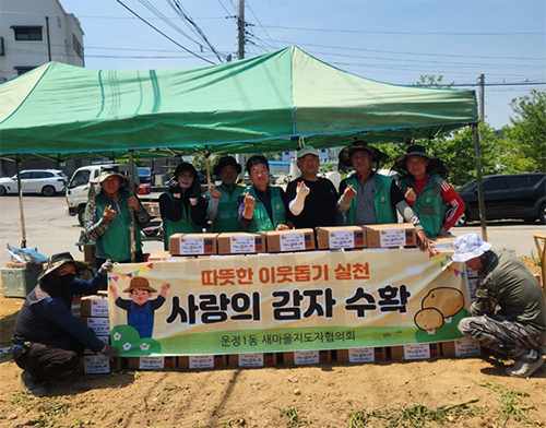 운정1동 새마을지도자협의회, 사랑의 감자 수확 기사 이미지