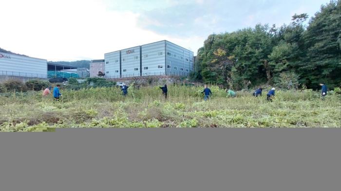 운정4동 실버경찰대, 직접 키운 들깨로 연말 이웃사랑 준비 기사 이미지