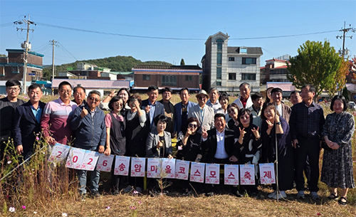 봉일천4리 송암마을, 가을빛 코스모스축제 성황 기사 이미지